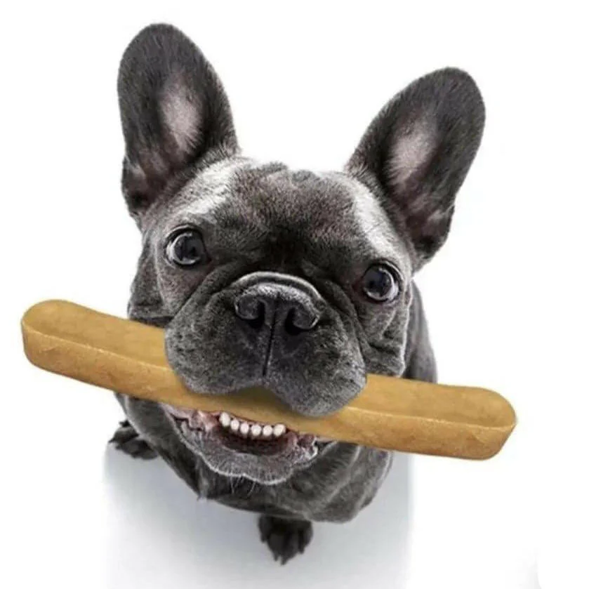 baton de fromage de yak pour chienla patte verte 201711